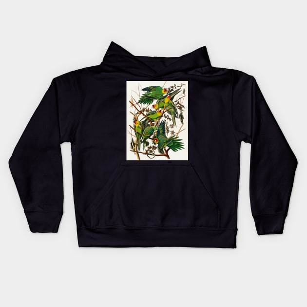 Bird of America  Bird, bird lover, america, beautiful  Public domain painting by John James Audubon Kids Hoodie by RosMir